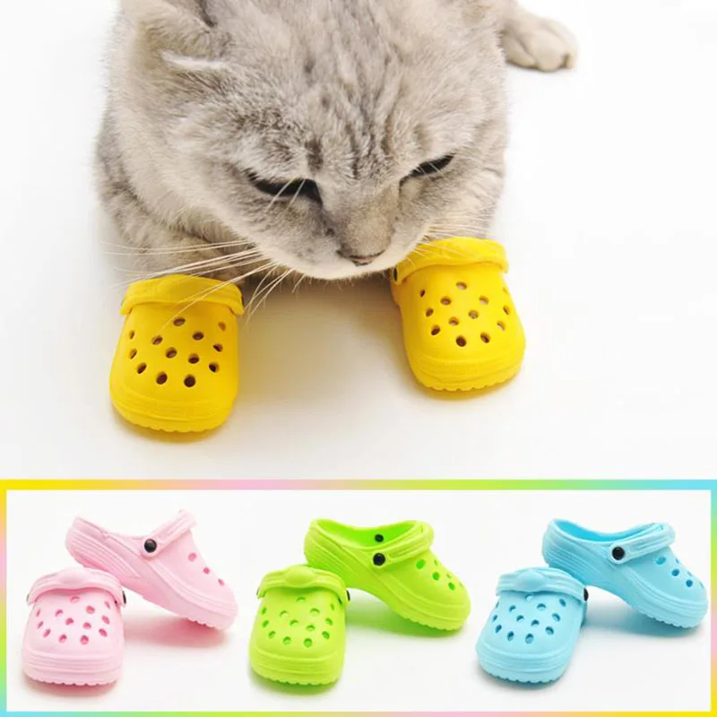 Shoe Polish Cream - 2Pcs/Set Pet Dog Sand Beach Shoes